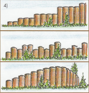 PalisadenwandLinie